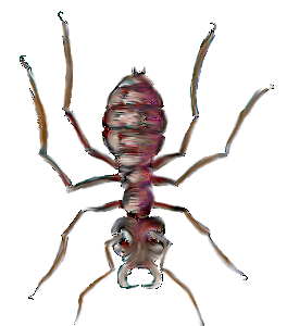 Image:Hihn Carpenter Ant.png