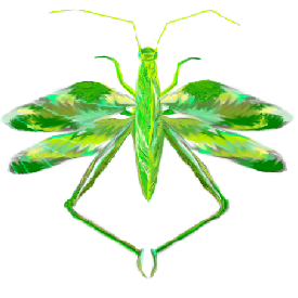 Image:Kekedid.png