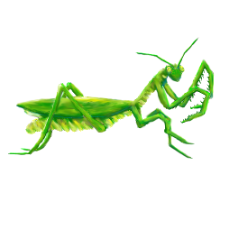 Image:Praya Mantis.png