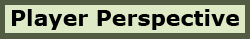 Image:PlayerPerspective.png